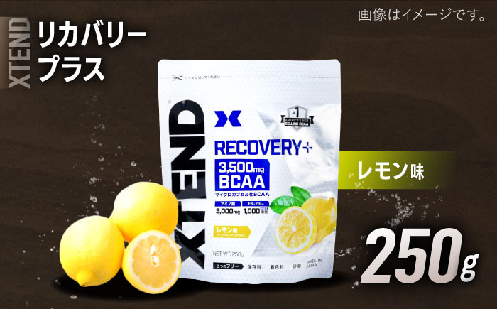 お気に入りの BCAA リカバリー sushitai.com.mx