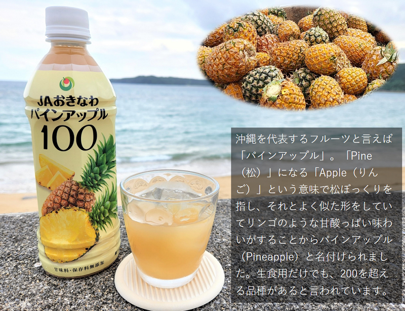 味が選べる】無添加・果汁100%ジュース（6本セット） - 沖縄県東村