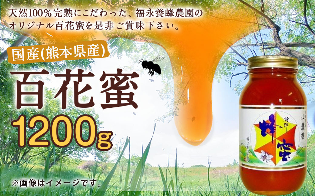 国産 熊本県産 蜂蜜 非加熱・純粋の百花蜜 1200g×1本 はちみつ