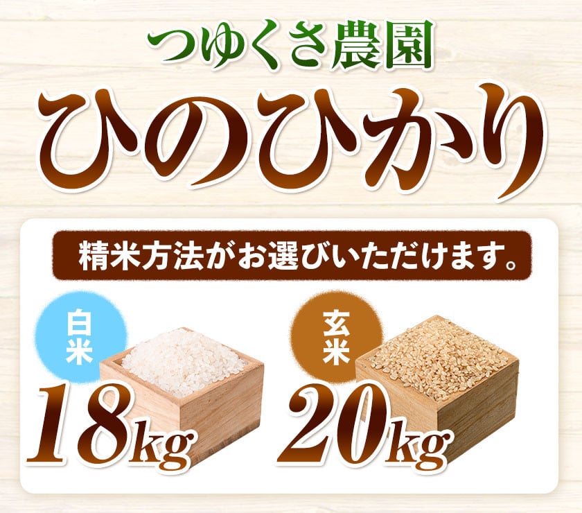 令和5年産 新米☆ヒカリ新世紀20kg厳選米 熊本県産 お米 数量限定 新