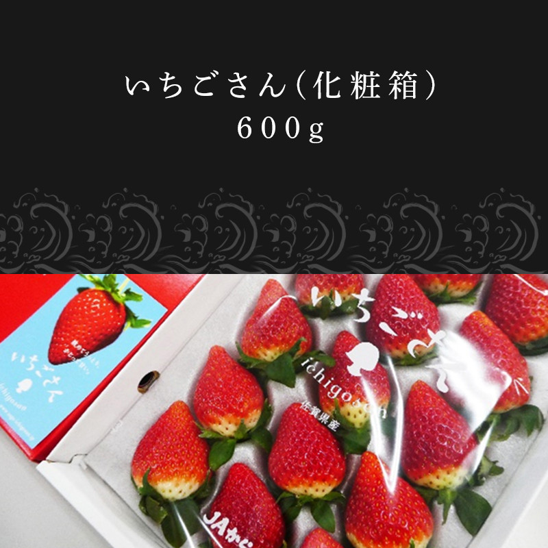 佐賀県唐津市「いちごさん」化粧箱 600g いちご 苺 イチゴ 化粧箱 ギフト