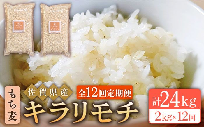 半額】 area西田精麦 毎日健康 もちまるちゃん 九州産もち麦 1kg ×10袋