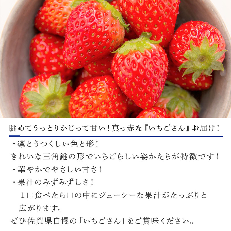 佐賀県唐津市「いちごさん」化粧箱 600g いちご 苺 イチゴ 化粧箱 ギフト