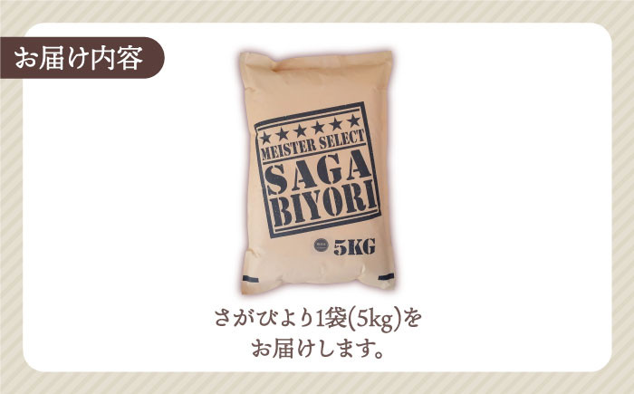 13年連続 特A受賞】令和5年産 新米 さがびより 無洗米 5kg【五つ星お米