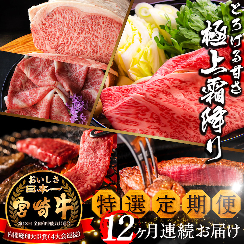 ふるさと納税 宮崎県 高鍋町 ＜宮崎牛肩ロース焼肉500g(ギフト仕様)＞3