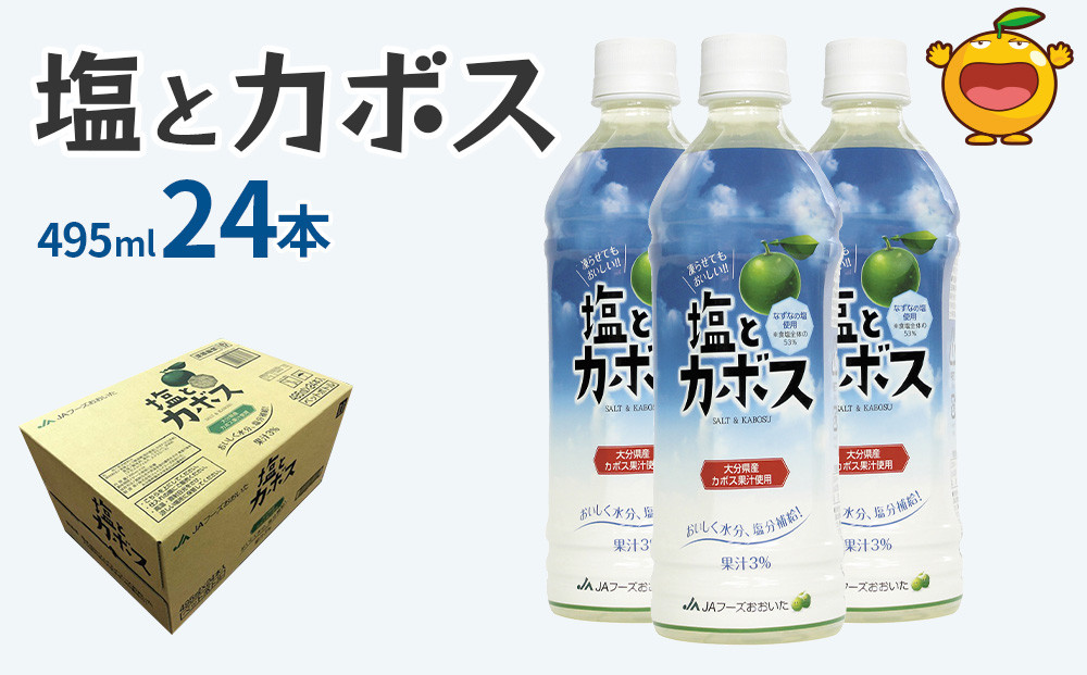 日本最大級 季節限定 ペットボトル 塩と夏みかん 清涼飲料水 飲料 水分