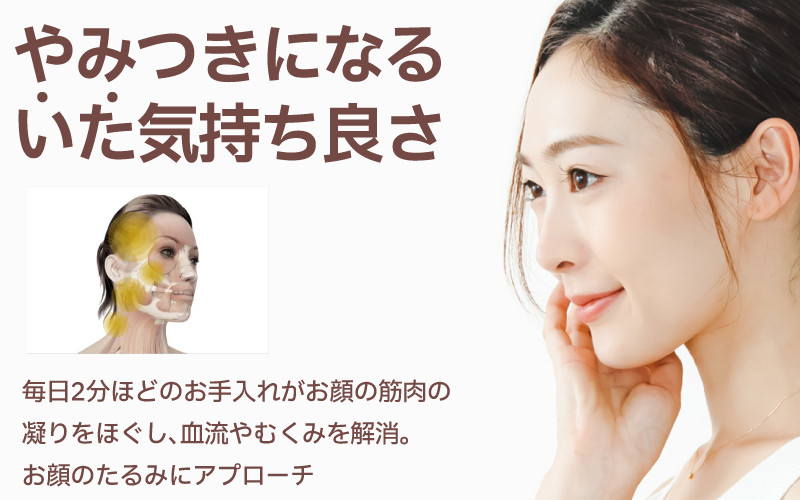 美顔のためのホームケア用品 Face Pointer フェイスポインター [G