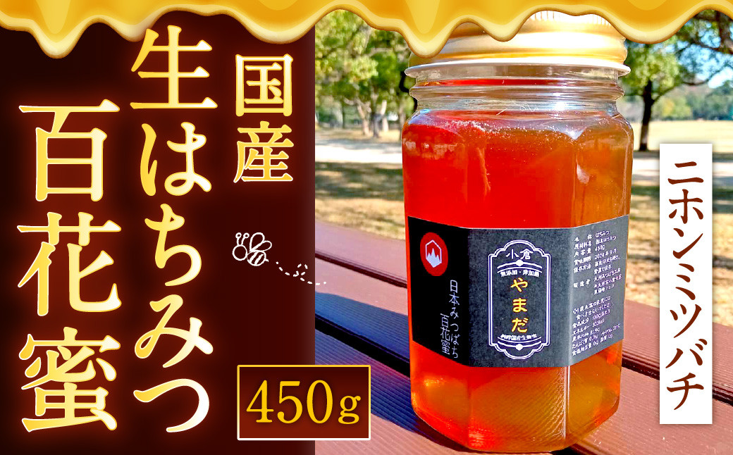 日本蜜蜂 非加熱無調整生ハチミツ 百花蜜 500g×2本 - その他