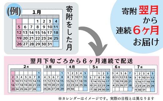 定期便】令和5年産＜無洗米＞総社市産きぬむすめ 10kg〔6回配送〕23