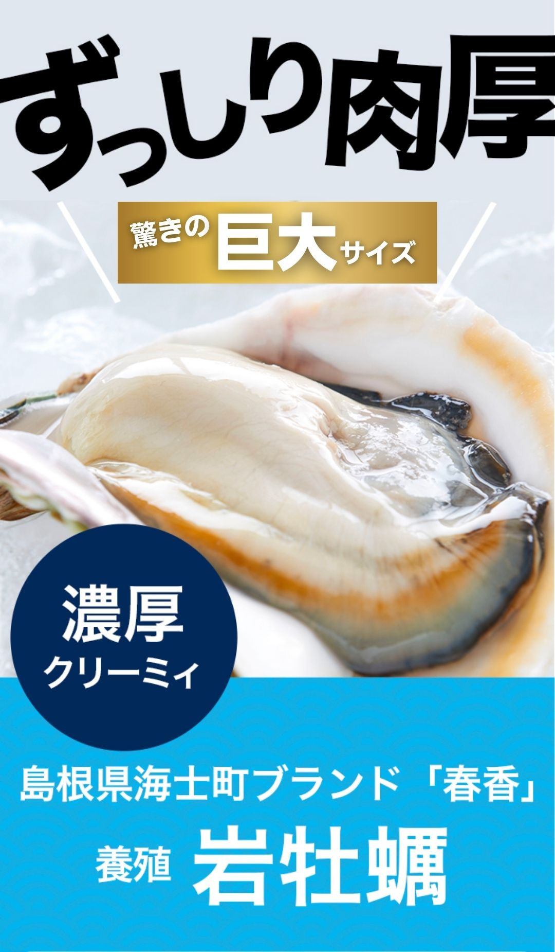 のし付き　岩牡蠣　殻付き　いわがき　生食　3.6kg～4.8kg　牡蠣　春香　超巨大　4L　6個　CAS　CAS冷凍-