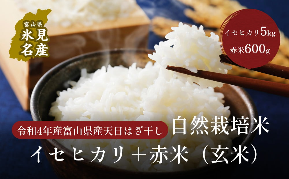 玄米＞令和4年産 富山県産 天日はざ干し 自然栽培米 イセヒカリ5kg+赤