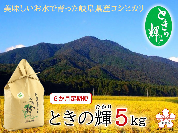 定期便 米5kg×6回】令和4年産コシヒカリ「ときの輝（ひかり）」 - 岐阜