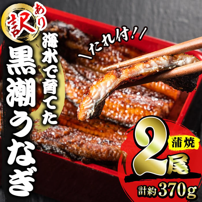 【訳あり】黒潮うなぎ蒲焼２尾（合計370g前後）寄附額17,000円