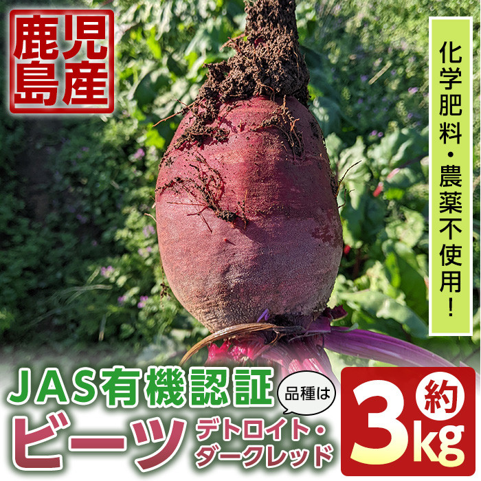 10kg【化学肥料・農薬不使用】 【メーカー再生品