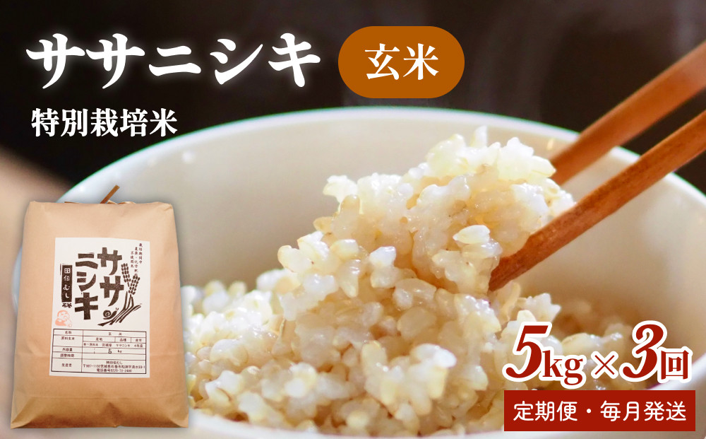 ササニシキ 玄米24kg