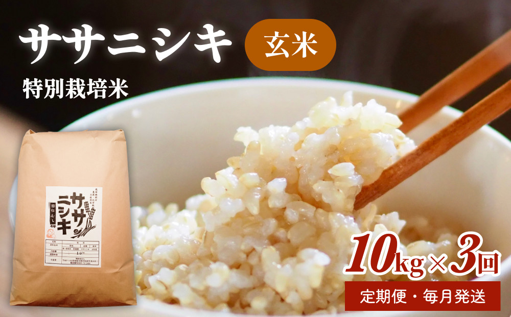 お米　玄米【玄米ササニシキ30kg】ジップロック付