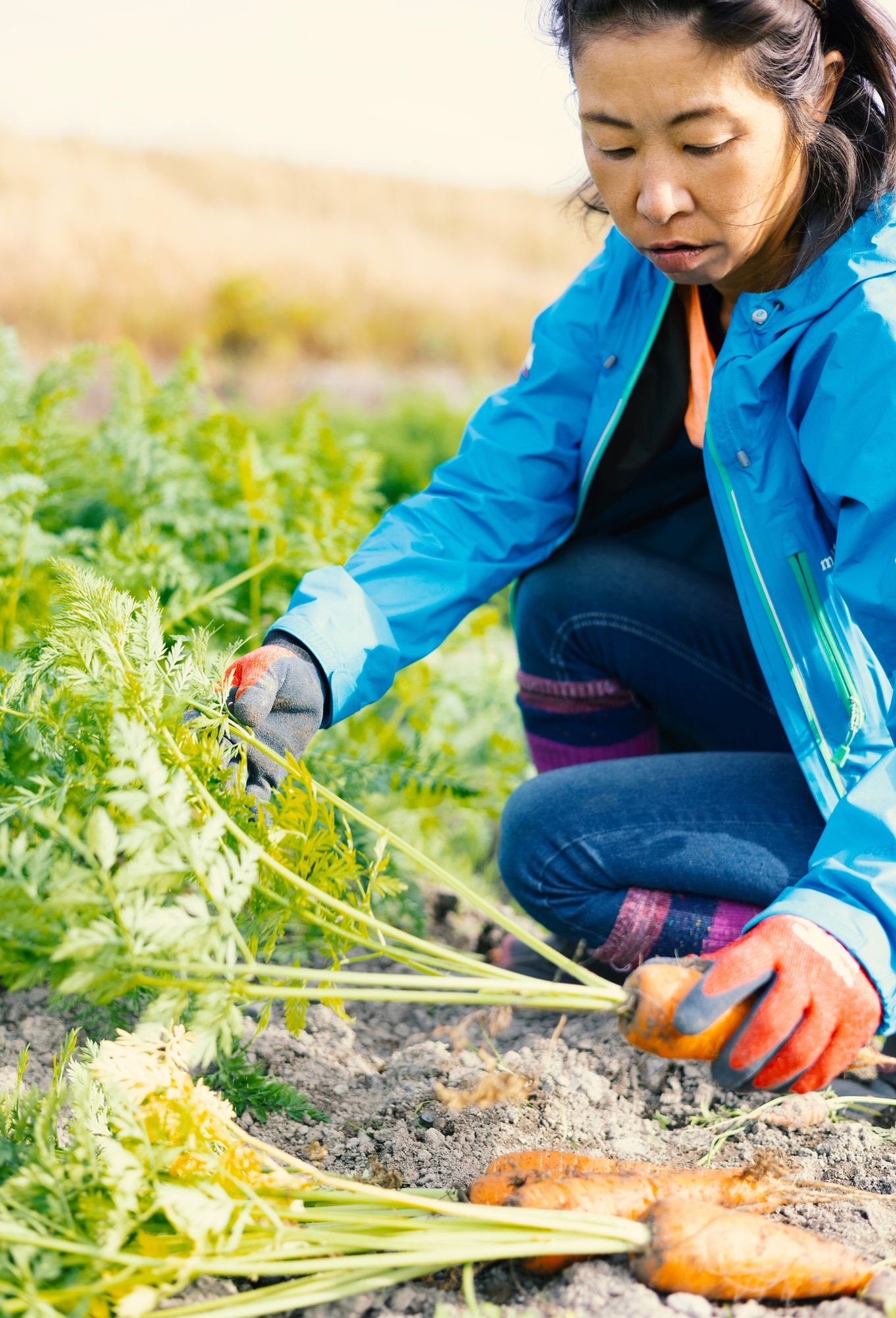 日本を平和にする人参 Peace&Carrots 約２㎏セット 人参 約2kg 栽培