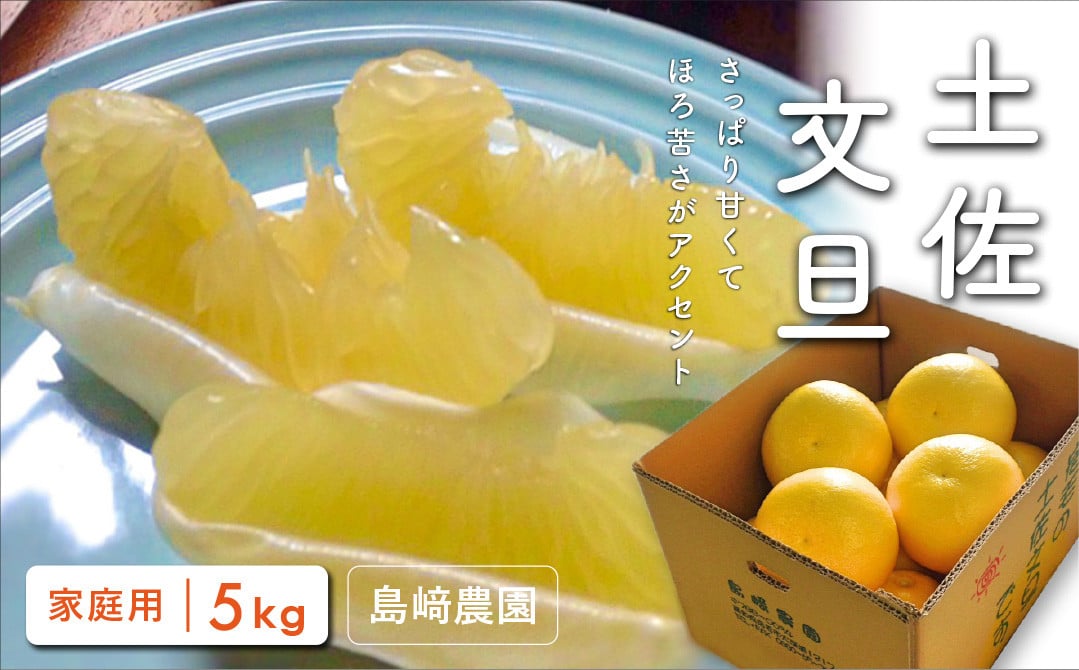 土佐文旦:美味しいを約束！最高級訳あり2.5kg - 果物