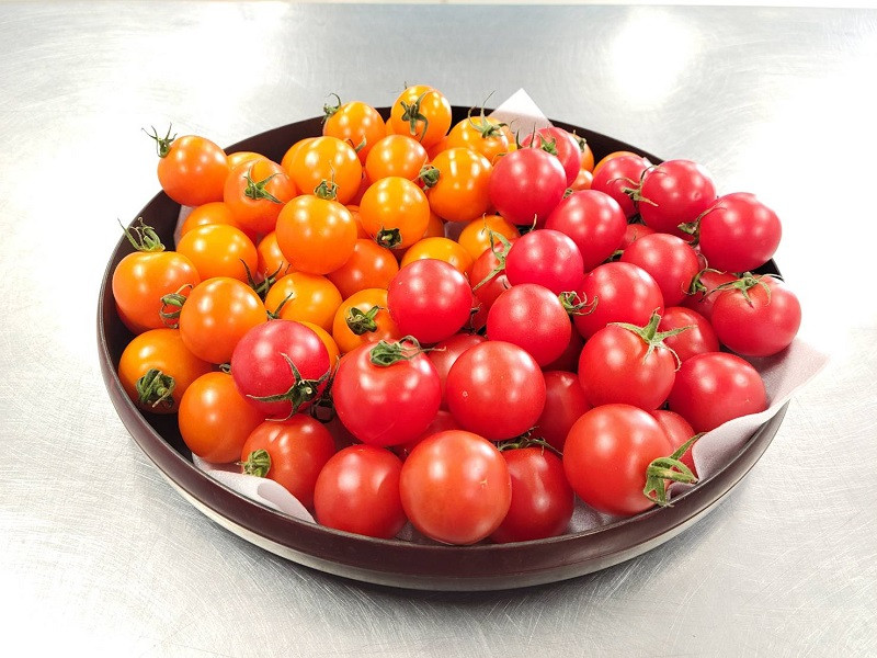 メイルオーダー ふるさと納税 日高村 冷凍トマト お試し30個 約1.5kg 冷凍で皮むき簡単 保存がきく