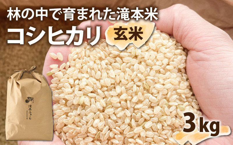 玄米 300g×10袋 - 通販 - pinehotel.info