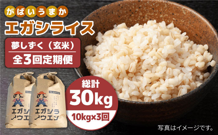 玄米10kg 【完全自然栽培の美味しいお米！】令和2年度佐賀県産！「伊勢