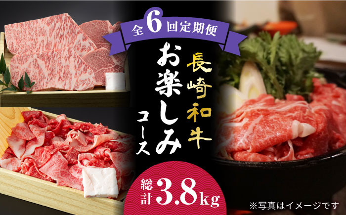  極厚 ステーキ プレミア 長崎和牛 食べ比べ セット（ ヒレ ステーキ 約240g×2枚   ロース芯 ステーキ 約260g×2枚）《小値賀町》[DBK007]  肉 和牛 黒毛和牛 ヒレステーキ ロースステーキ 贅沢 BBQ 大容量 定期便