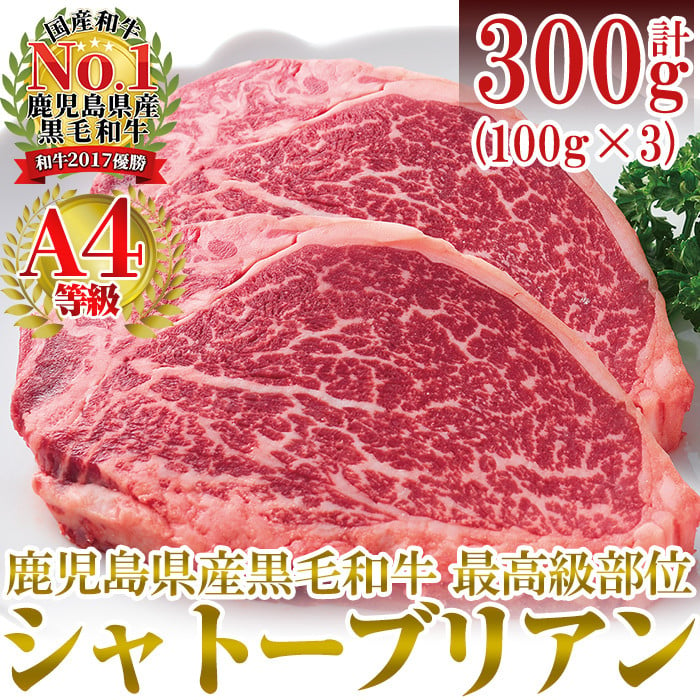 a326 A4等級鹿児島県産黒毛和牛！希少な牛肉！シャトーブリアン 100g×3