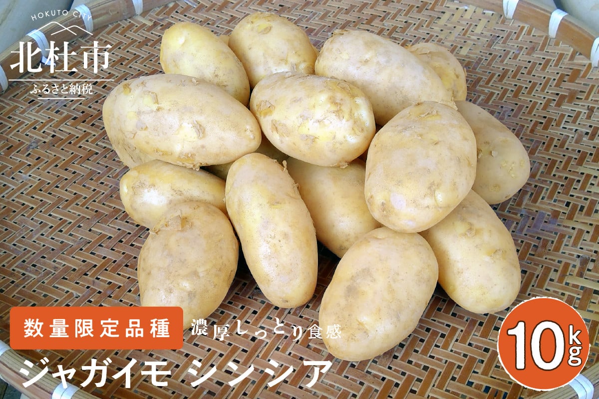 数量限定品種】濃厚しっとり食感 ジャガイモ シンシア 10kg - 山梨県北杜市｜ふるさとチョイス - ふるさと納税サイト