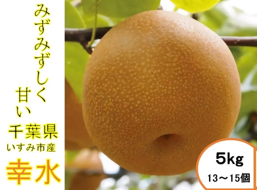 いすみ市の幸水梨は、日本でも有数の早出産地です。
