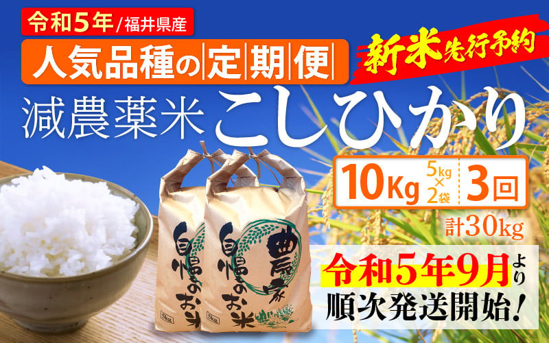 農薬不用 コシヒカリ 30kg 令和5年(2023) 茨城 おこめ 白米/玄米-