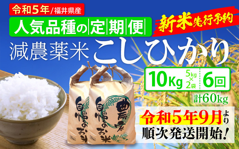 令和5年度 新米農薬不使用玄米 コシヒカリ 30㎏ 奈良の農家直送 - 米