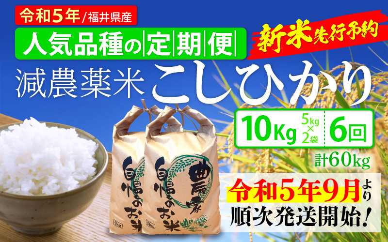 令和5年新米 コシヒカリ 農薬不使用 玄米20キロ-