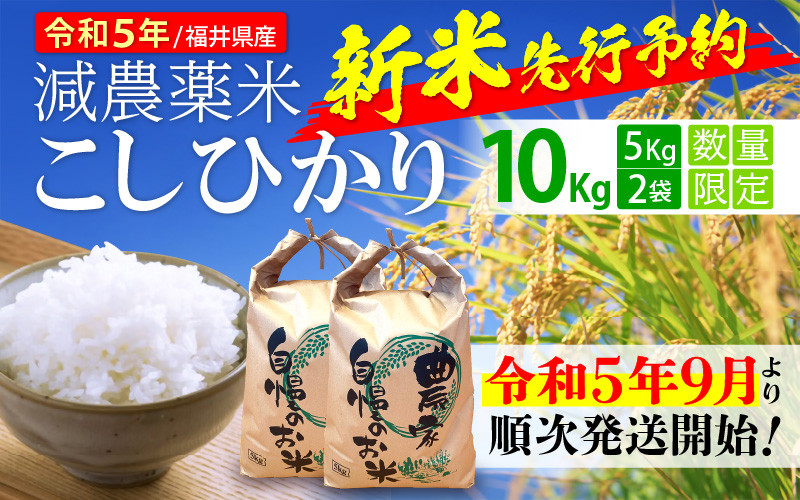 5年産コシヒカリ玄米10キロ減農薬　通販