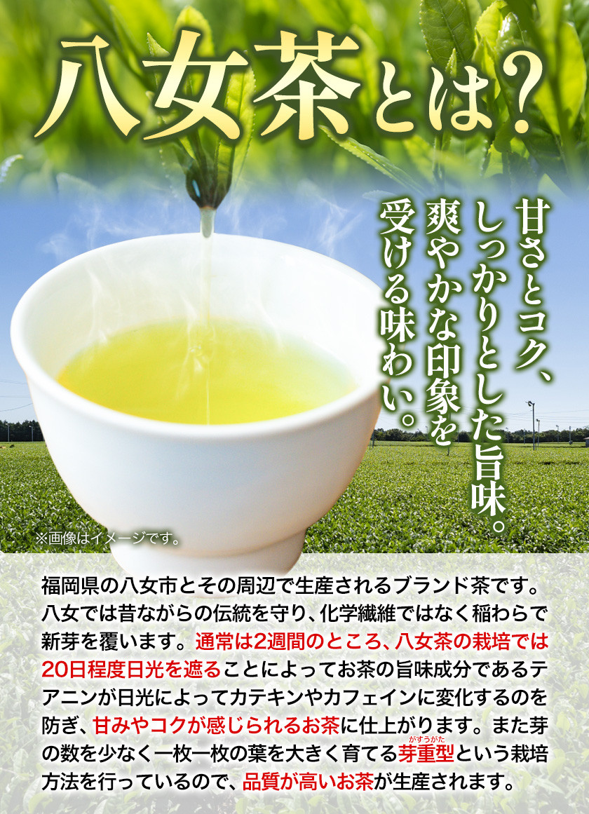 ふるさと納税 八女茶 煎茶ティーバッグ3g 200個（100個×2袋） 福岡県飯塚市 - 3