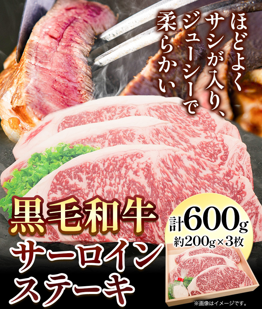 ふるさと納税 北海道 湧別町 [No.5930-0302]骨まで食べられる 北海道産