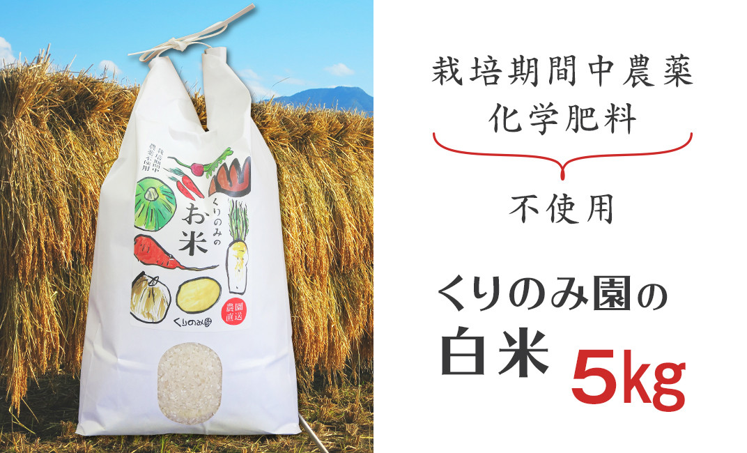 R4　岐阜県産ハツシモ　精米　10kg　無農薬　化学肥料不使用　10キロ