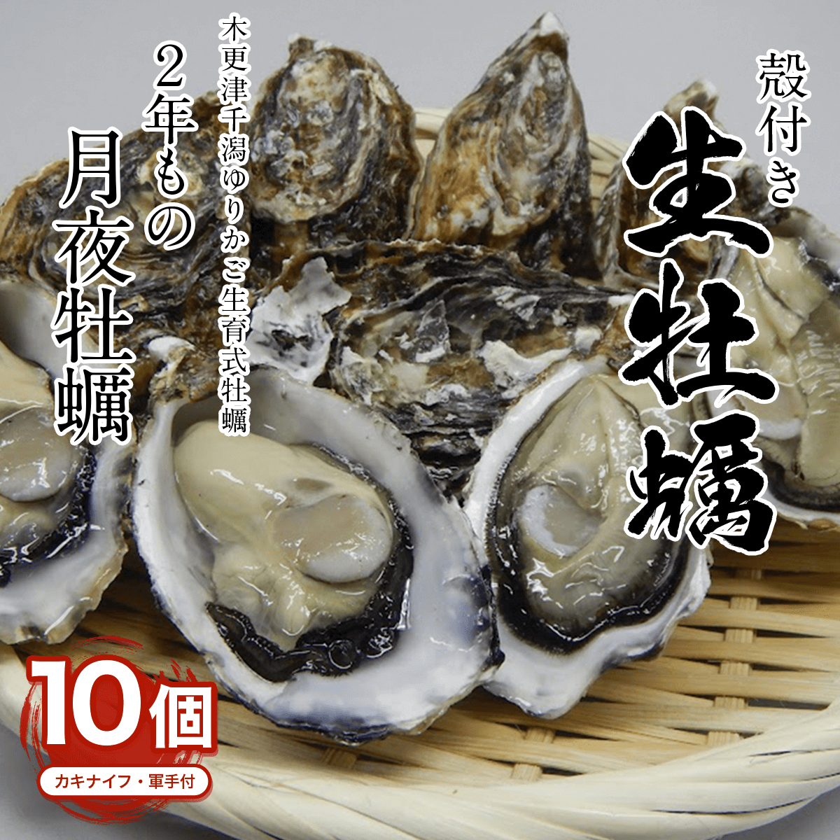 ふるさと納税 牡蠣 大粒 3〜4年モノ 生食 殻付き牡蠣 約3kg(約9-12個入