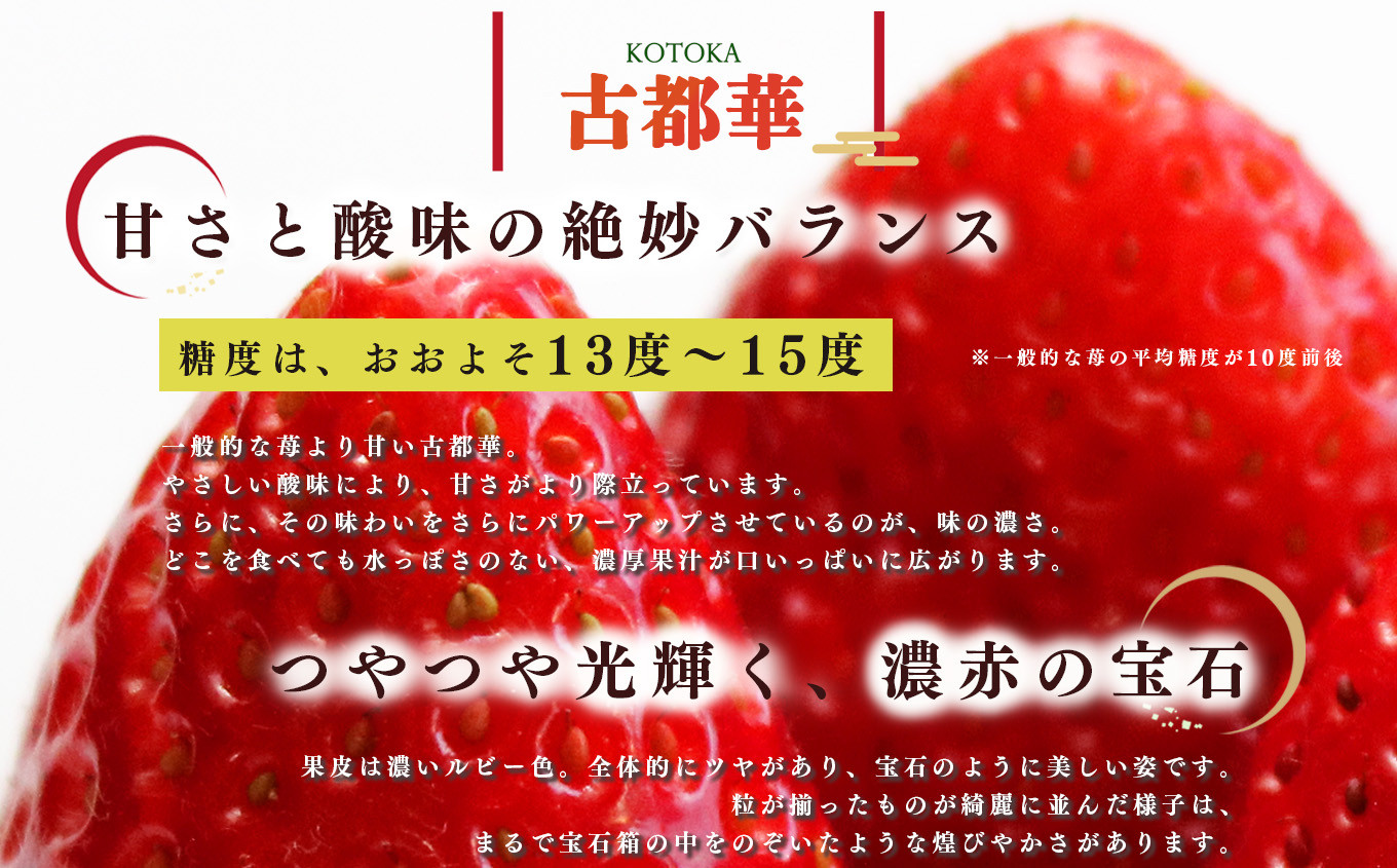 平群の古都華 いちご 4Lサイズ （2パック×2ケース） 計4パック 辻本農園