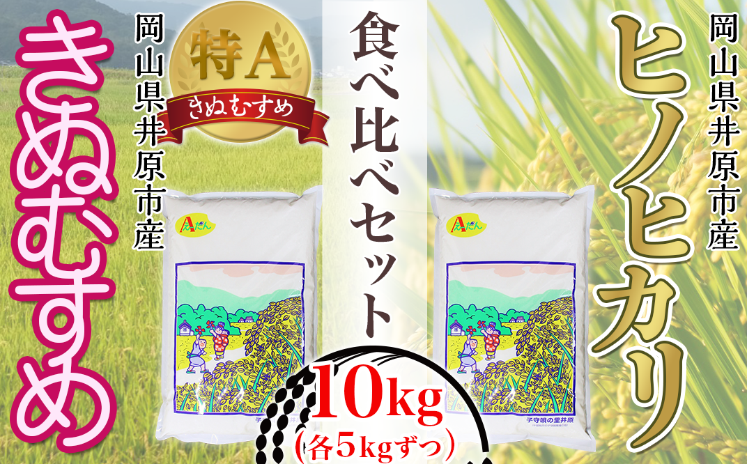 63-03岡山県井原市産ヒノヒカリ・きぬむすめ食べ比べセット10kg(各5kg