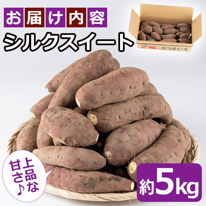 ふるさと納税 茨城県 大洗町 数量限定 平干し芋 1ｋｇ（200ｇ×5パック