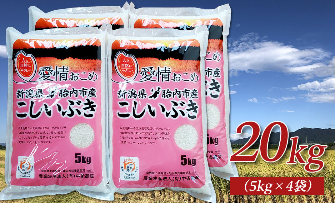 16-I201新潟県胎内市産こしいぶき20kg（5kg×4袋） - 新潟県胎内市