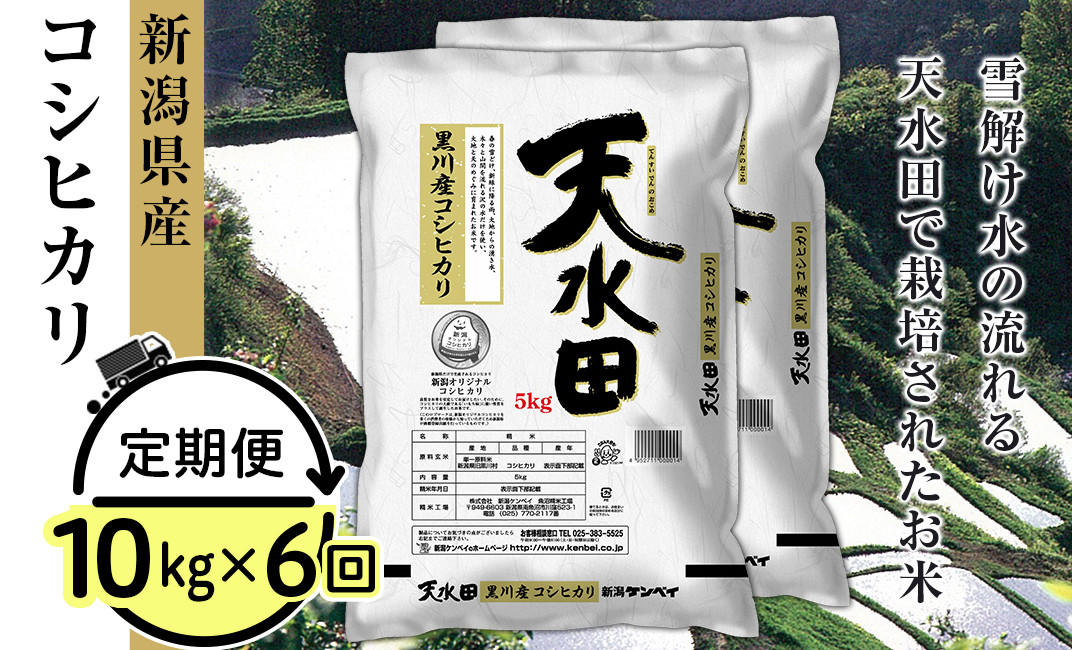 お米 新品 精米 15キロ(5キロ x 3袋)