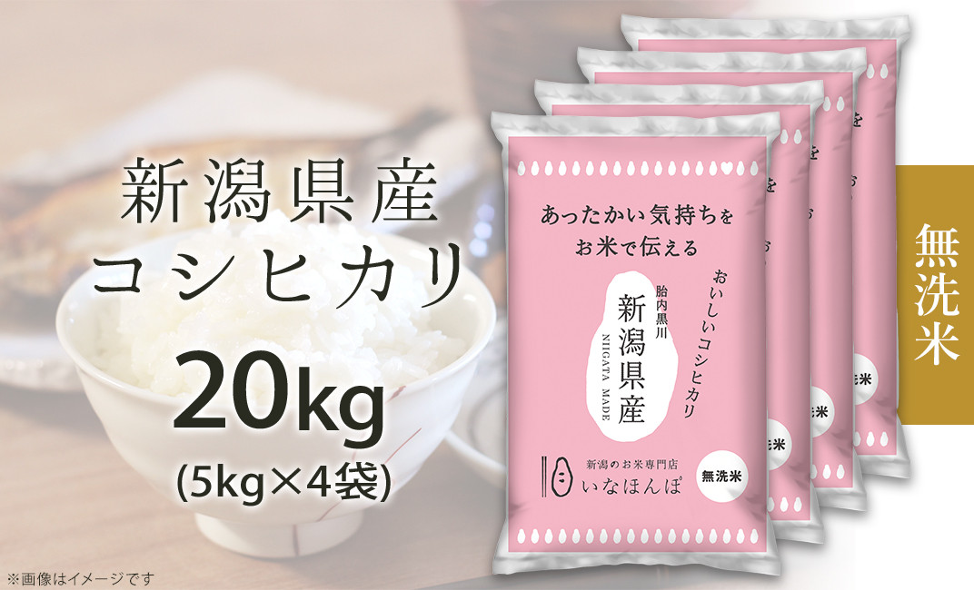 食品【新米】令和5年度産 新潟こしひかり 20kg(5kg×4袋) 特別