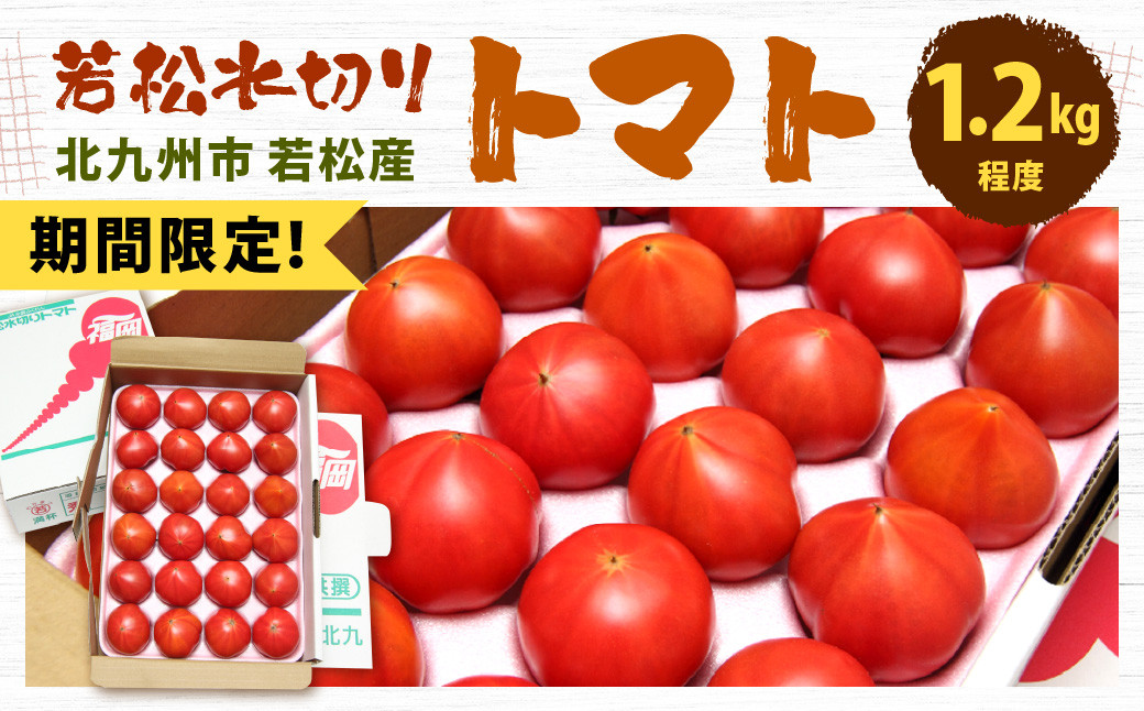 野菜袋_NEW新鮮パック トマト4 SP（小） 5000枚 - 5
