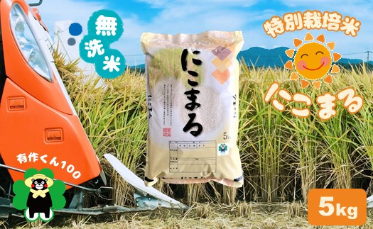 特別栽培米 「無洗米にこまる」5kg 熊本玉名産 - 熊本県玉名市