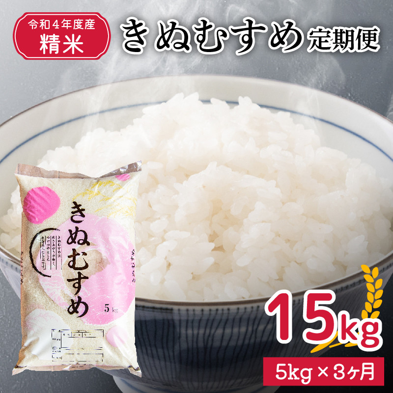 30キロ】 山口県産 令和4年米 一等米 きぬむすめ - 食品