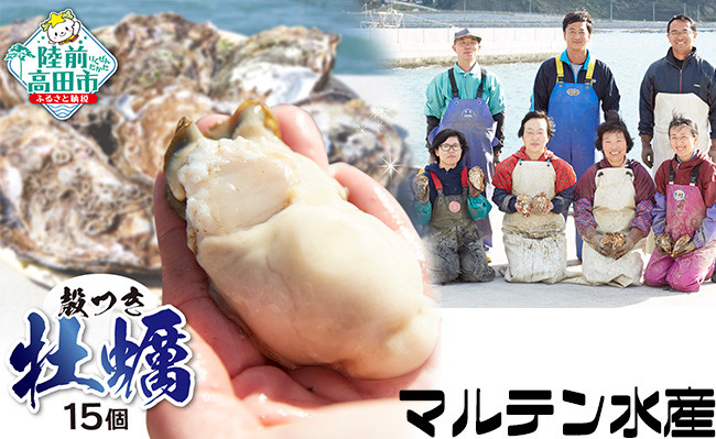 期日指定OK！殻付き牡蠣15個（生食用）＼感謝／16,000件突破！「3年