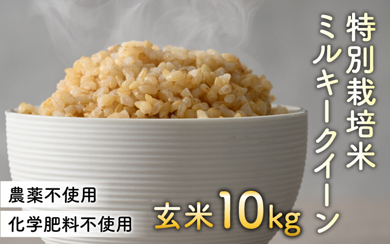 何を食べても安全！　発芽用玄米10kg　４年産コシヒカリ　特別栽培①農薬等不使用