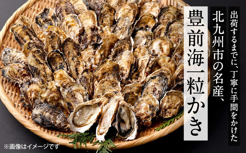 北九州産 豊前海一粒かき 2kg 牡蠣 生牡蠣 かき