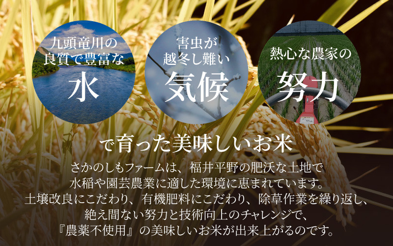 先行予約】【令和5年産新米】コシヒカリ 精米 5kg 特別栽培米 農薬不